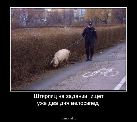 Штирлиц на задании, ищет уже два дня велосипед 