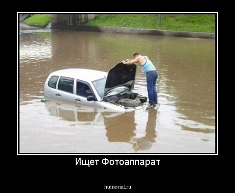 Ищет Фотоаппарат