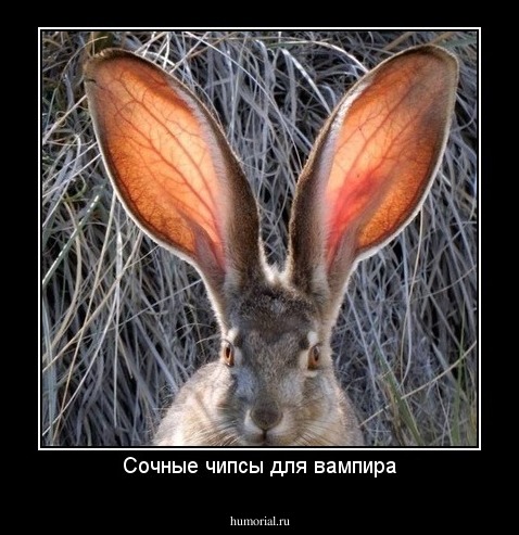 Сочные чипсы для вампира