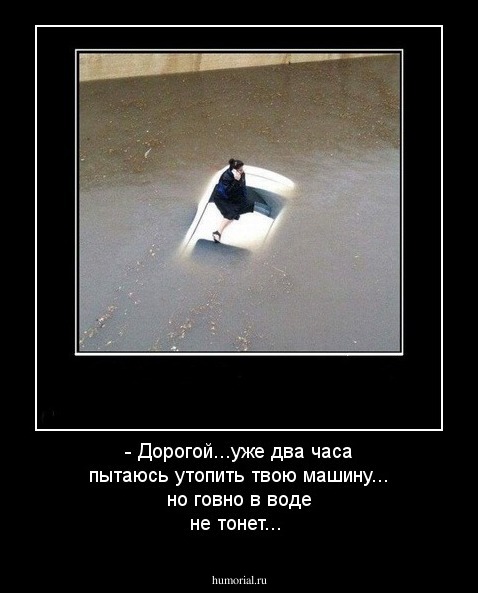 - Дорогой...уже два часа пытаюсь утопить твою машину... но говно в воде не тонет...