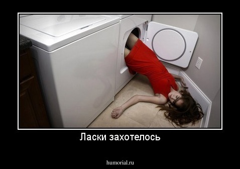 Ласки захотелось