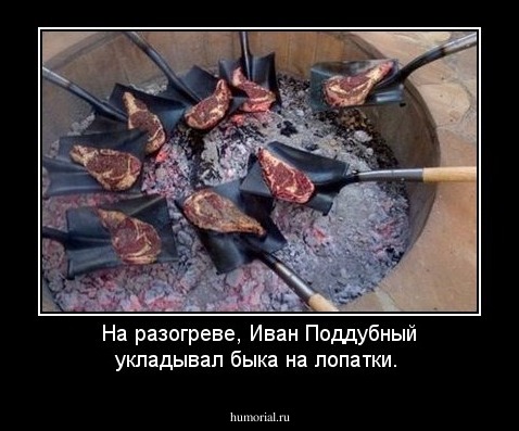 На разогреве, Иван Поддубный укладывал быка на лопатки.