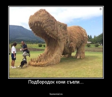 Подбородок кони съели...