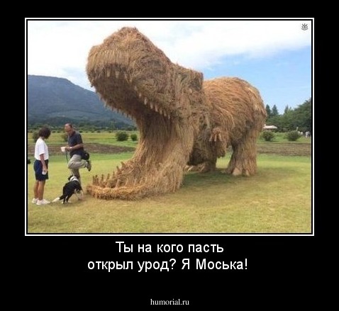 Ты  на кого  пасть открыл урод? Я Моська!