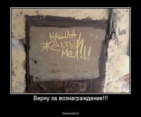 Верну за вознаграждение.
