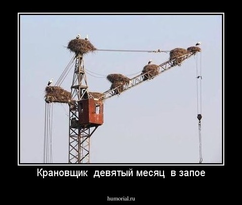 Крановщик  девятый месяц  в запое