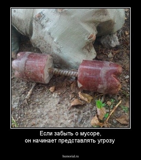 Если забыть о мусоре, он начинает представлять угрозу
