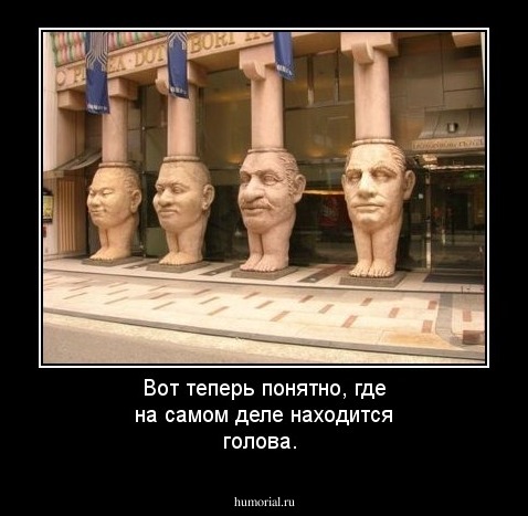 Вот теперь понятно, где на самом деле находится голова.