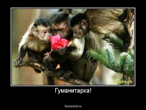 Гуманитарка!