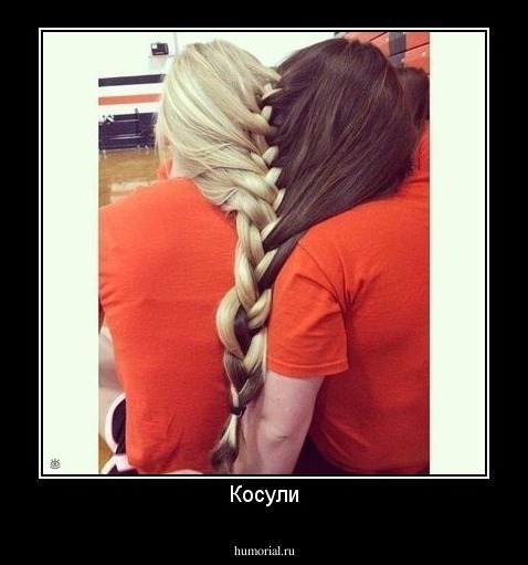 Косули