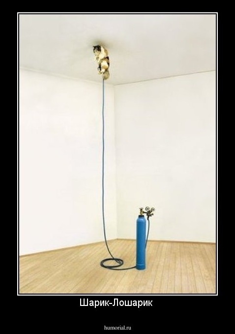Шарик-Лошарик 