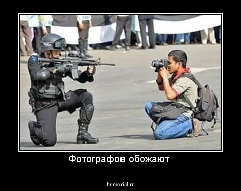 Фотографов обожают 