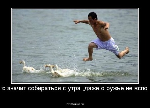 Вот что значит собираться с утра ,даже о ружье не вспомнишь