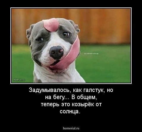 Задумывалось, как галстук, но на бегу... В общем, теперь это козырёк от солнца.