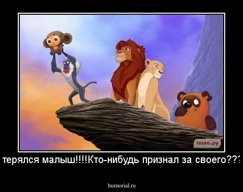 Потерялся малыш!!!!Кто-нибудь признал за своего?????