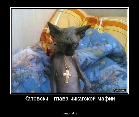 Катовски - глава чикагской мафии