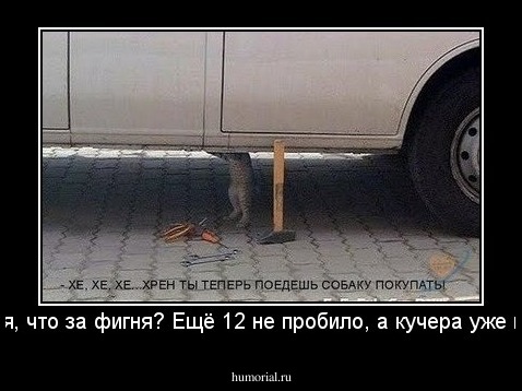 - Фея, что за фигня? Ещё 12 не пробило, а кучера уже нет!!!