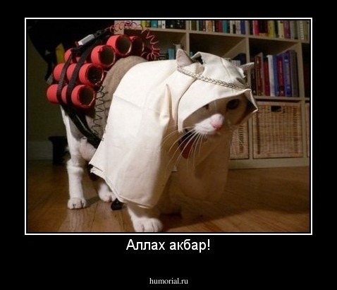 Аллах акбар!