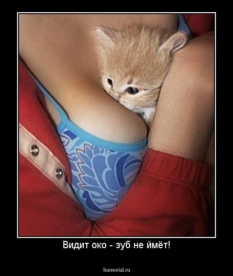 Видит око - зуб не ймёт!