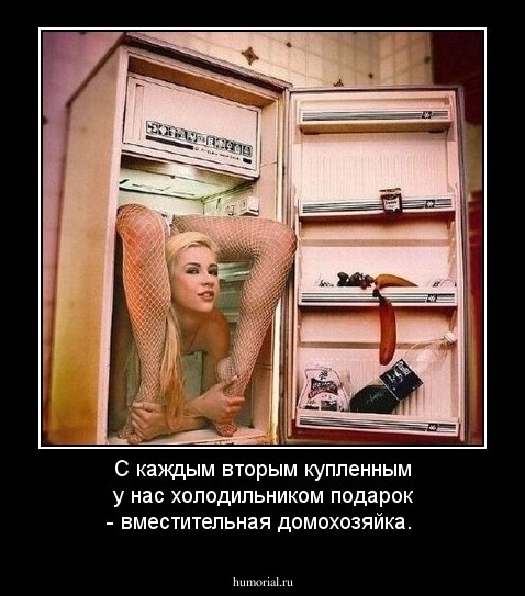 С каждым вторым купленным у нас холодильником  подарок - вместительная домохозяйка.