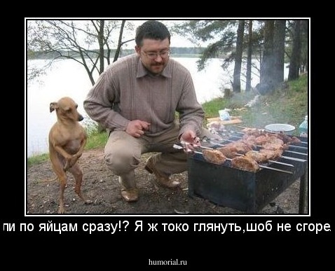 ?ули по яйцам сразу!? Я ж токо глянуть,шоб не сгорело.