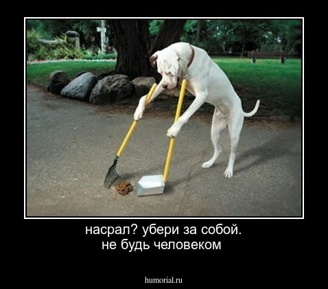 насрал? убери за собой. не будь человеком