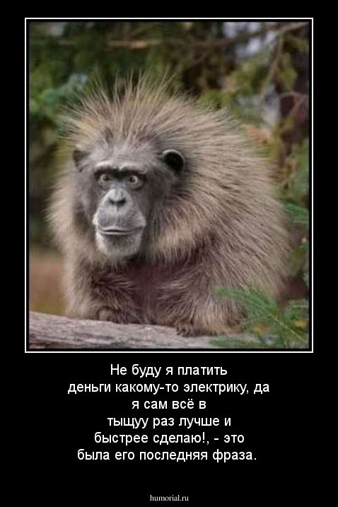 Не буду я платить деньги какому-то электрику, да я сам всё в тыщуу раз лучше и быстрее сделаю!, - это была его последняя фраза.