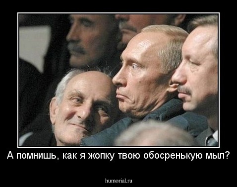 А помнишь, как я жопку твою обосренькую мыл?