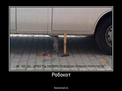 Робокот
