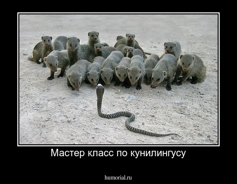 Мастер класс по кунилингусу