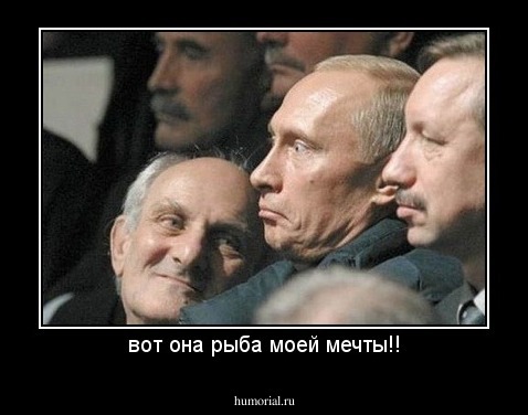 вот она рыба моей мечты!!