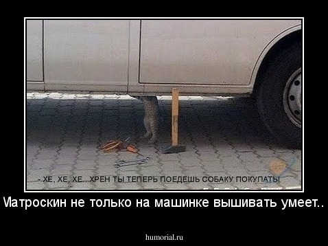 Матроскин не только на машинке вышивать умеет...