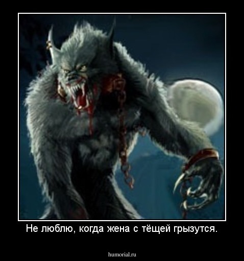 Не люблю, когда жена с тёщей грызутся.