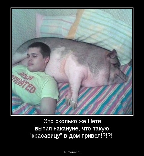 Это сколько же Петя выпил накануне, что такую "красавицу" в дом привел!?!?!