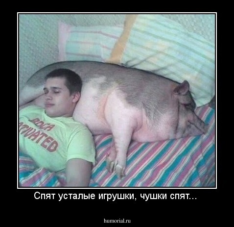 Спят усталые игрушки, чушки спят... 