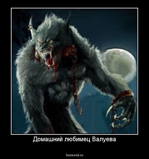 Домашний любимец Валуева