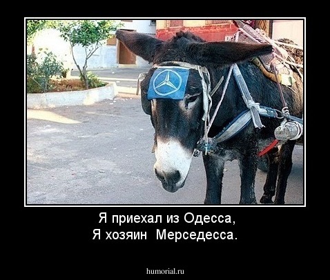 Я приехал из Одесса,
Я хозяин  Мерседесса.