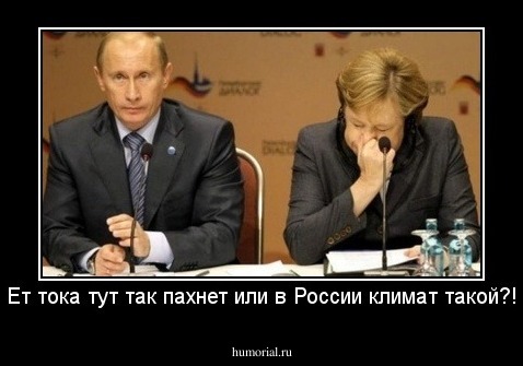 Ет тока тут так пахнет или в России климат такой?!
