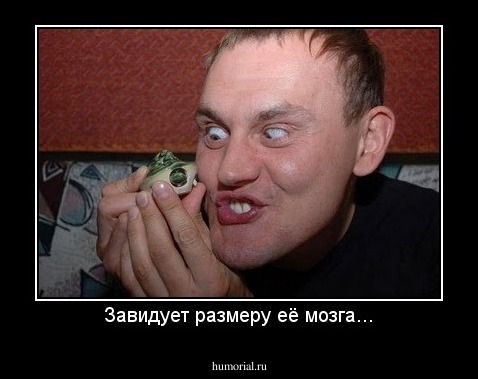 Завидует размеру её мозга...