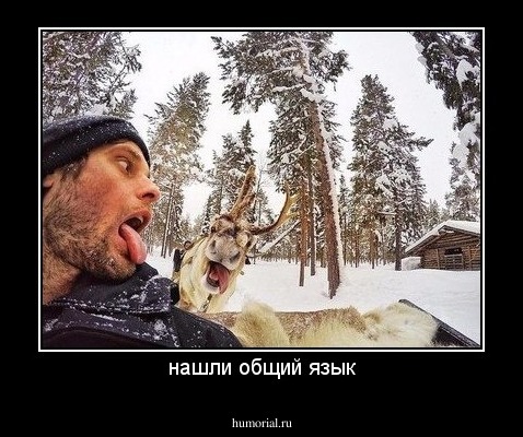 нашли общий язык