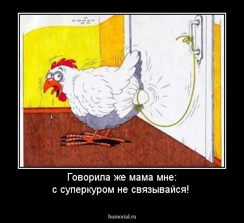 Говорила же мама мне: с суперкуром не связывайся!