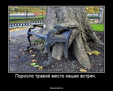 Поросло травой место наших встреч. 