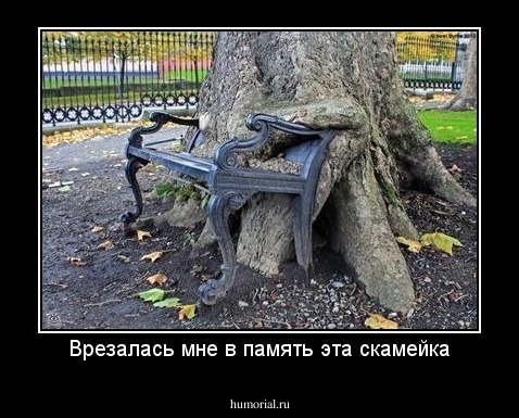 Врезалась мне в память эта скамейка