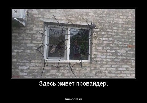 Здесь живет провайдер.