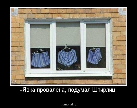 -Явка провалена, подумал Штирлиц.