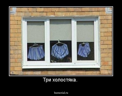 Три холостяка. 