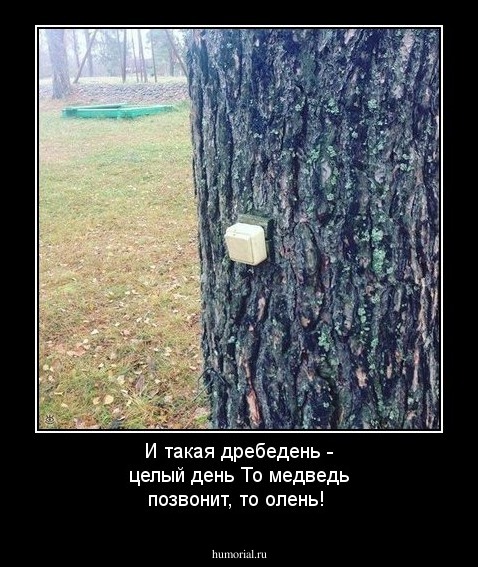 И такая дребедень - целый день
То медведь позвонит, то олень! 