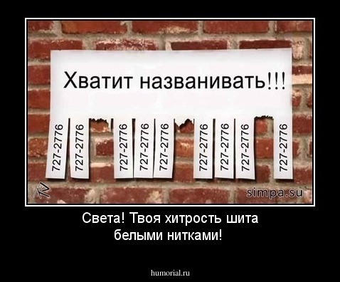 Света! Твоя хитрость шита белыми нитками!