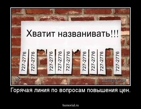Горячая линия по вопросам повышения цен.