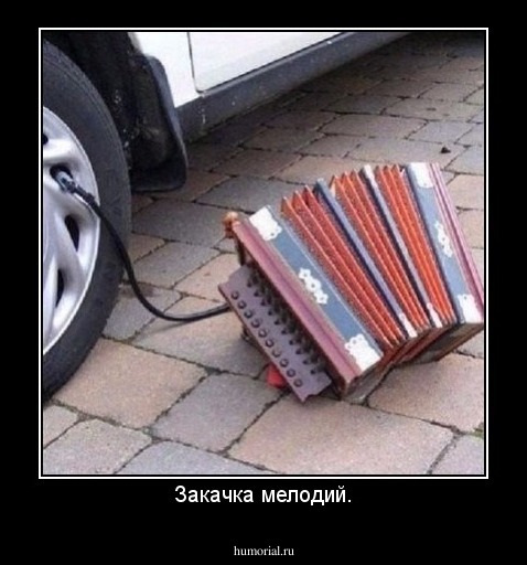 Закачка мелодий.